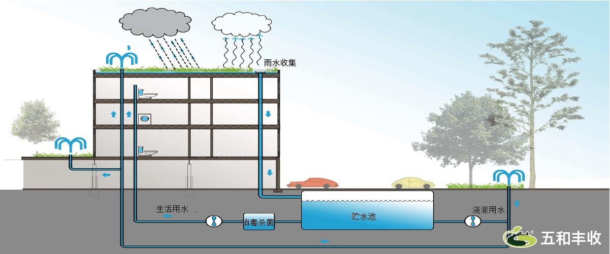 雨水收集利用 现代农业设施 ae灌溉系统,精准灌溉,节水灌溉,灌溉